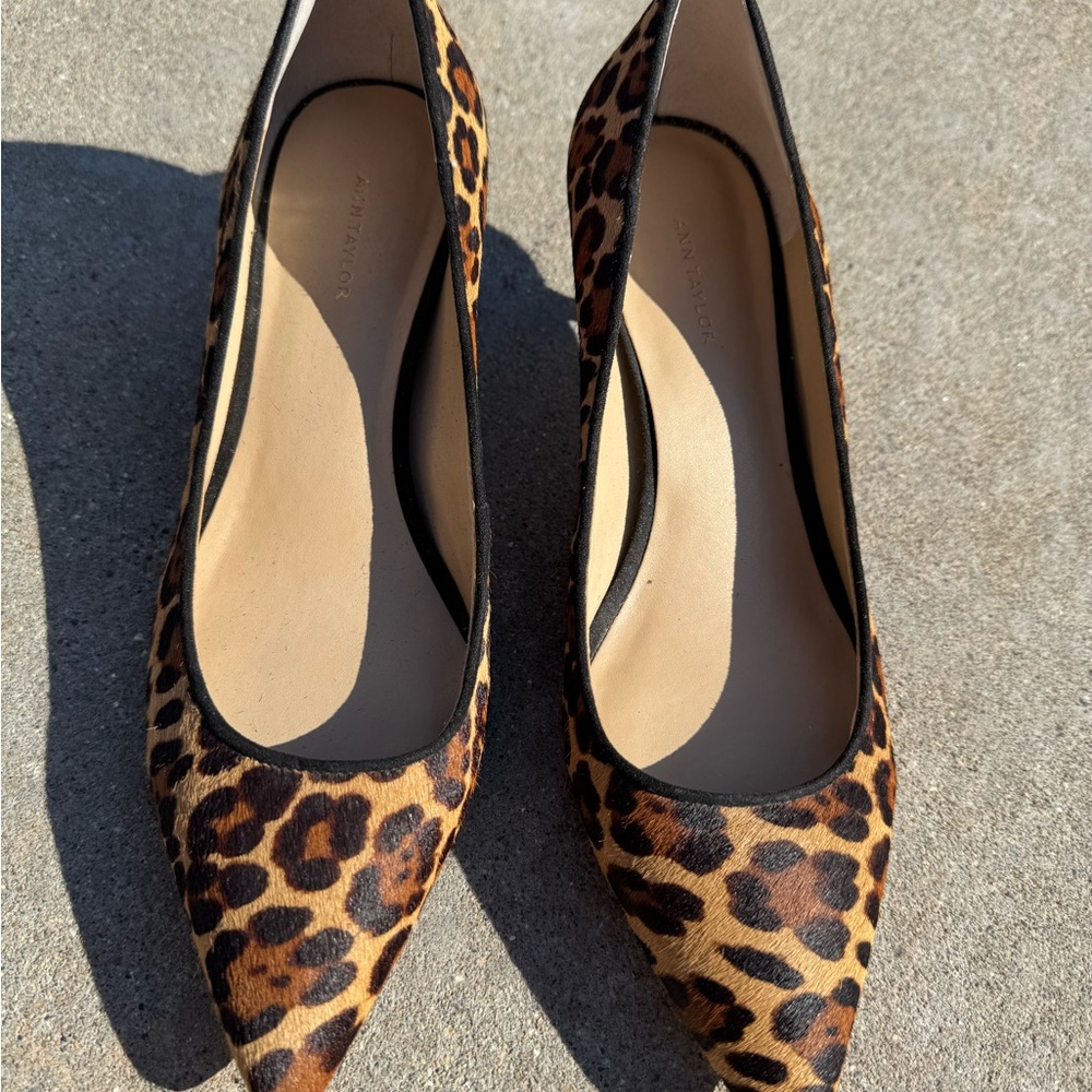 Ann Taylor Leopard Print Pointed Toe Pumps
